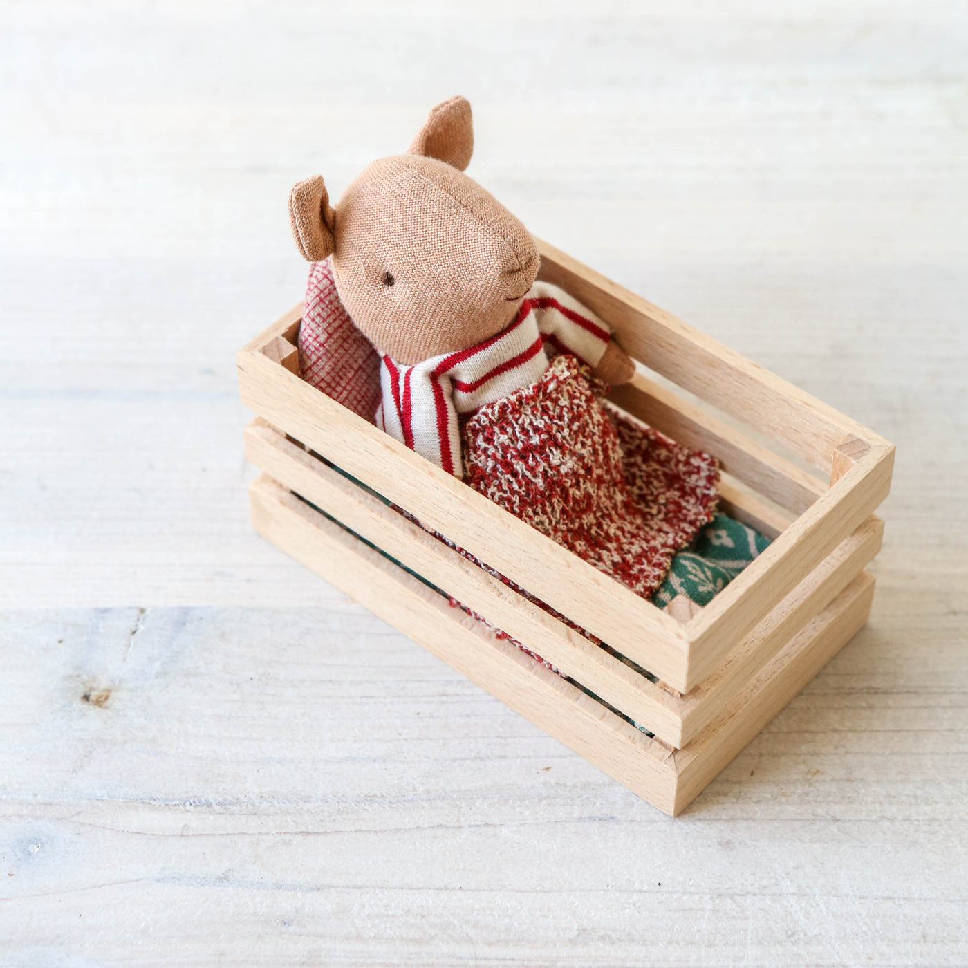 Baby Pig in Box