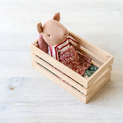 Baby Pig in Box