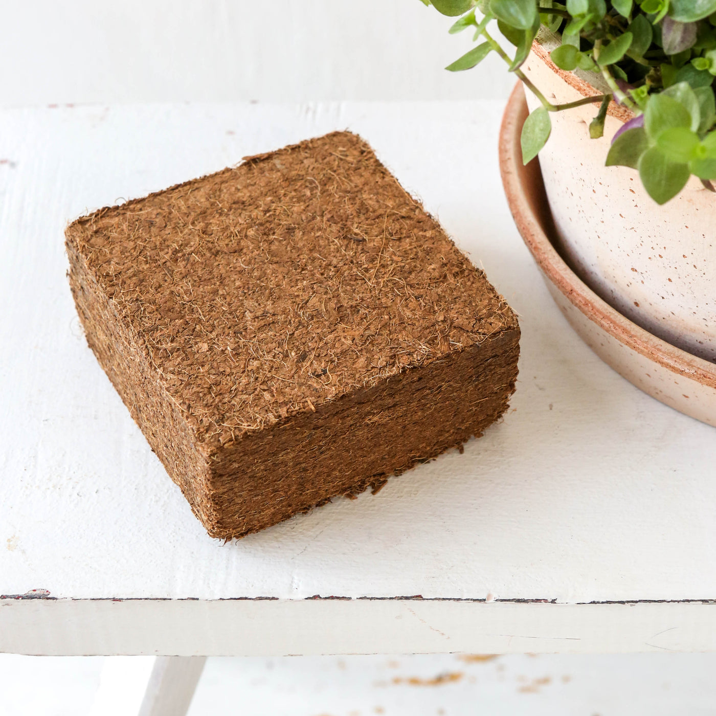 For Peat's Sake! Coir Compost
