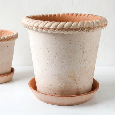 25cm Emilia Plant Pot & Saucer - Rose