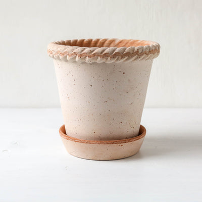 16cm Emilia Plant Pot & Saucer - Rose