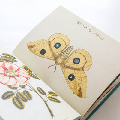 John Derian Sticker Book
