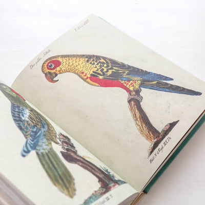 John Derian Sticker Book