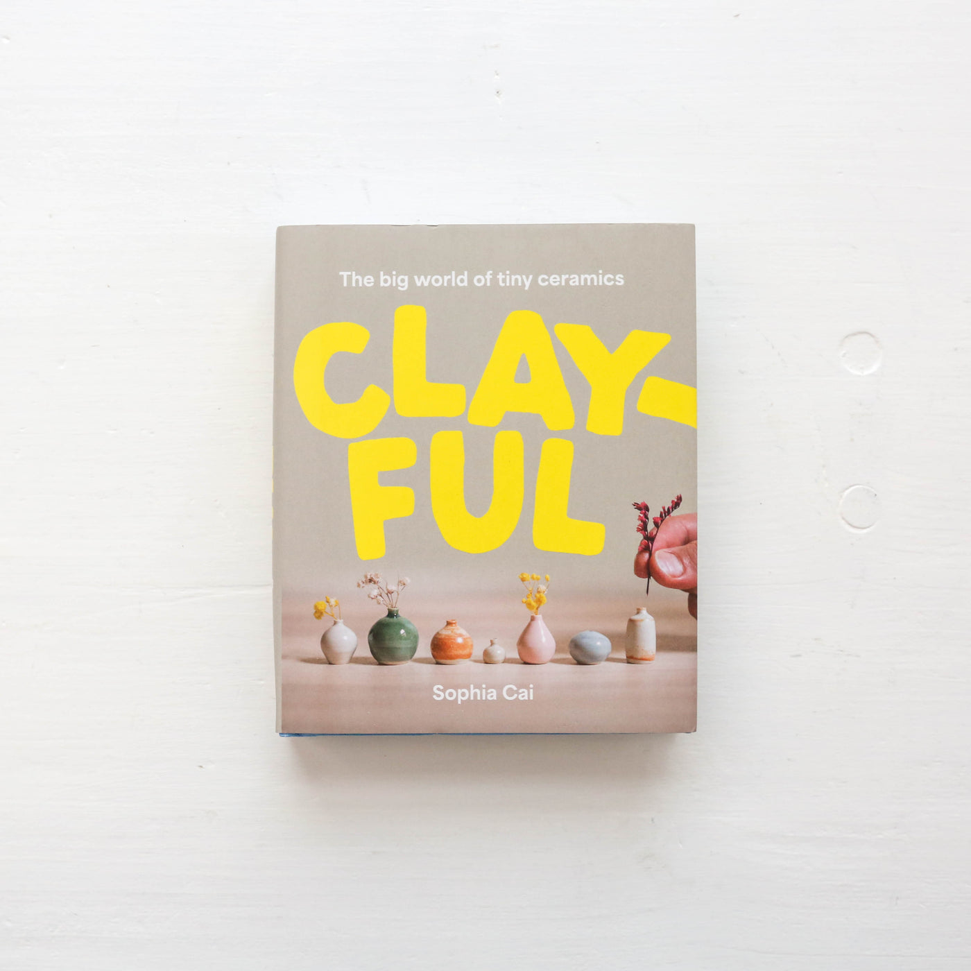 Clayful : The big world of tiny ceramics