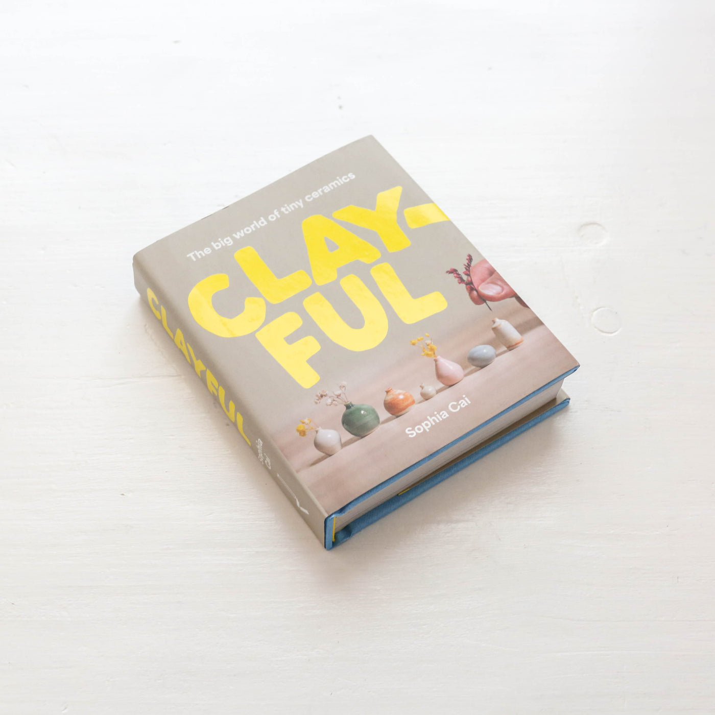 Clayful : The big world of tiny ceramics
