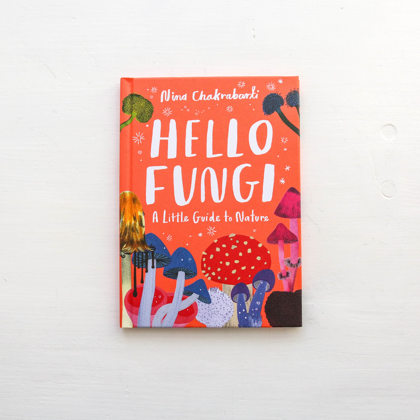 Little Guides to Nature: Hello Fungi