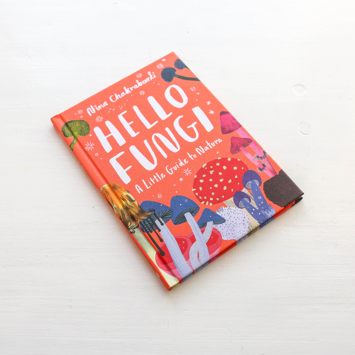 Little Guides to Nature: Hello Fungi