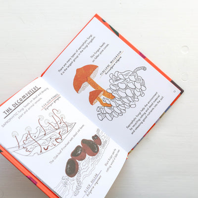 Little Guides to Nature: Hello Fungi