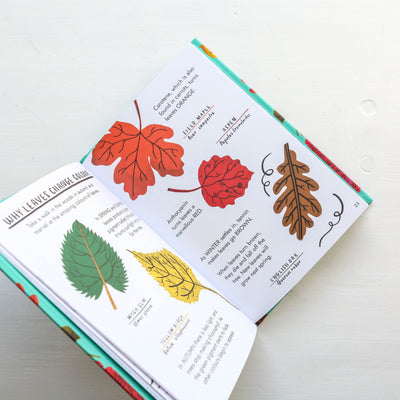 Little Guides to Nature: Hello Trees