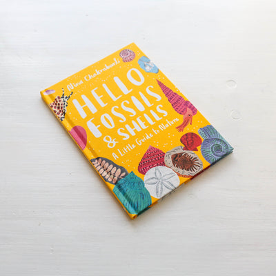 Little Guides to Nature: Hello Fossils and Shells