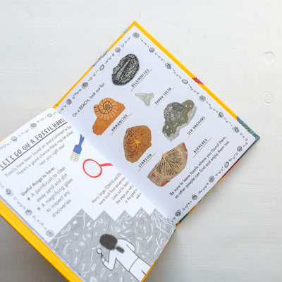 Little Guides to Nature: Hello Fossils and Shells