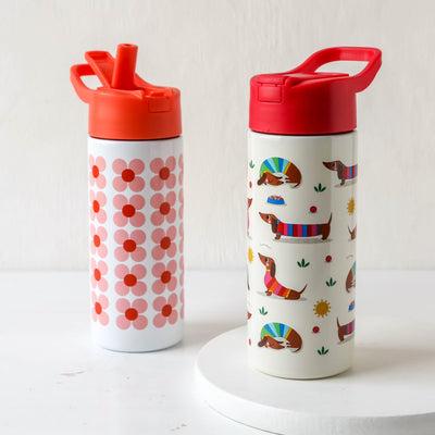 Kids Stainless Steel Water Bottle with Push Button Lid
