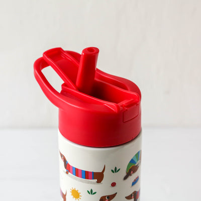 Kids Stainless Steel Water Bottle with Push Button Lid