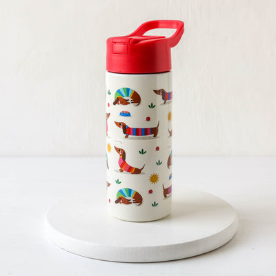 Kids Stainless Steel Water Bottle with Push Button Lid