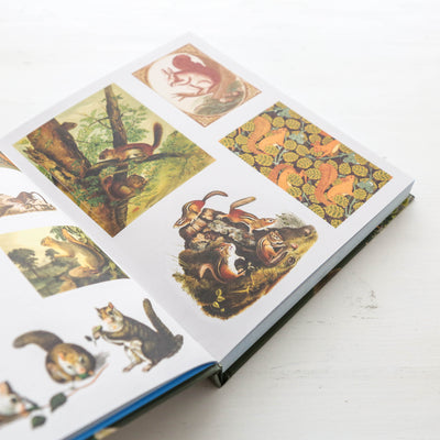 The Sticker Treasury of Woodland Adventures