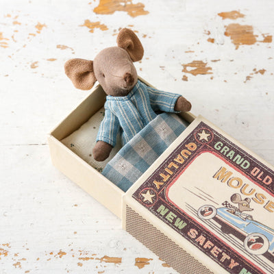 Big Brother Mouse Toy in Matchbox