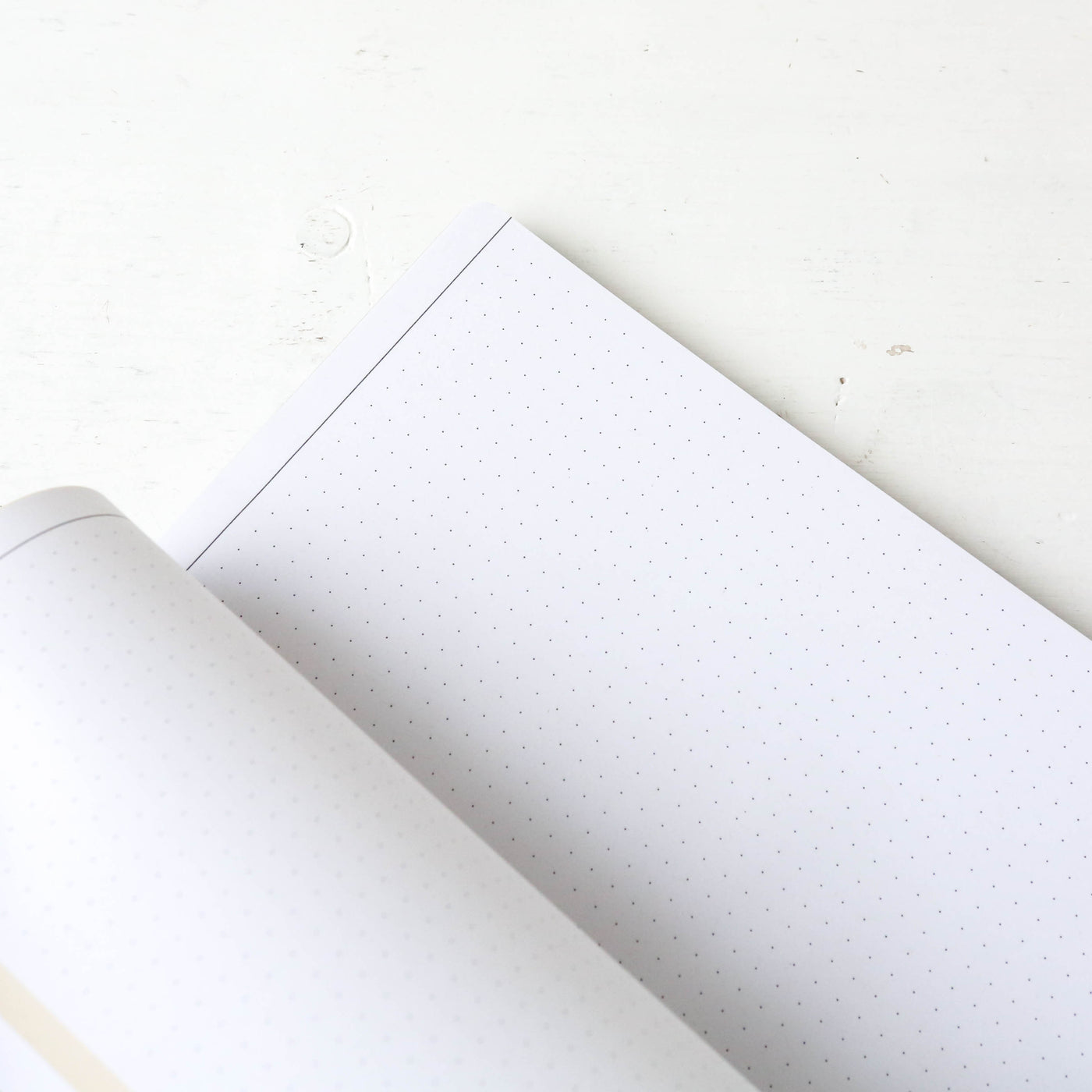 Papier Tigre Students Notebook - A5