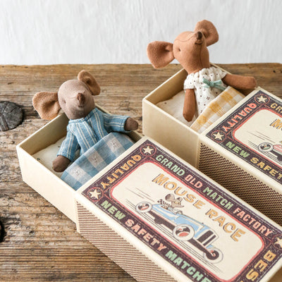 Big Brother Mouse Toy in Matchbox