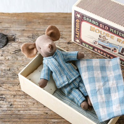 Big Brother Mouse Toy in Matchbox