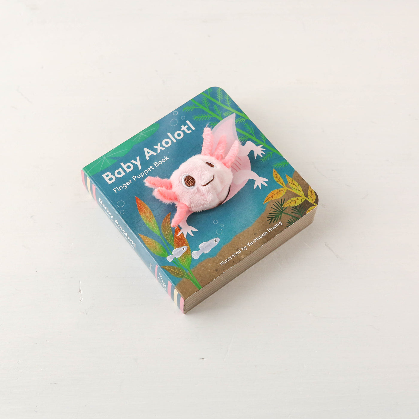 Finger Puppet Board Book - Baby Axolotl