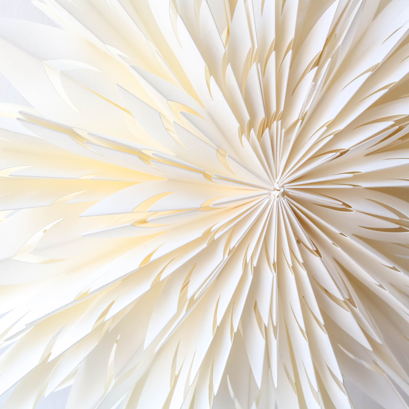 60cm Paper Star Decoration - Borage