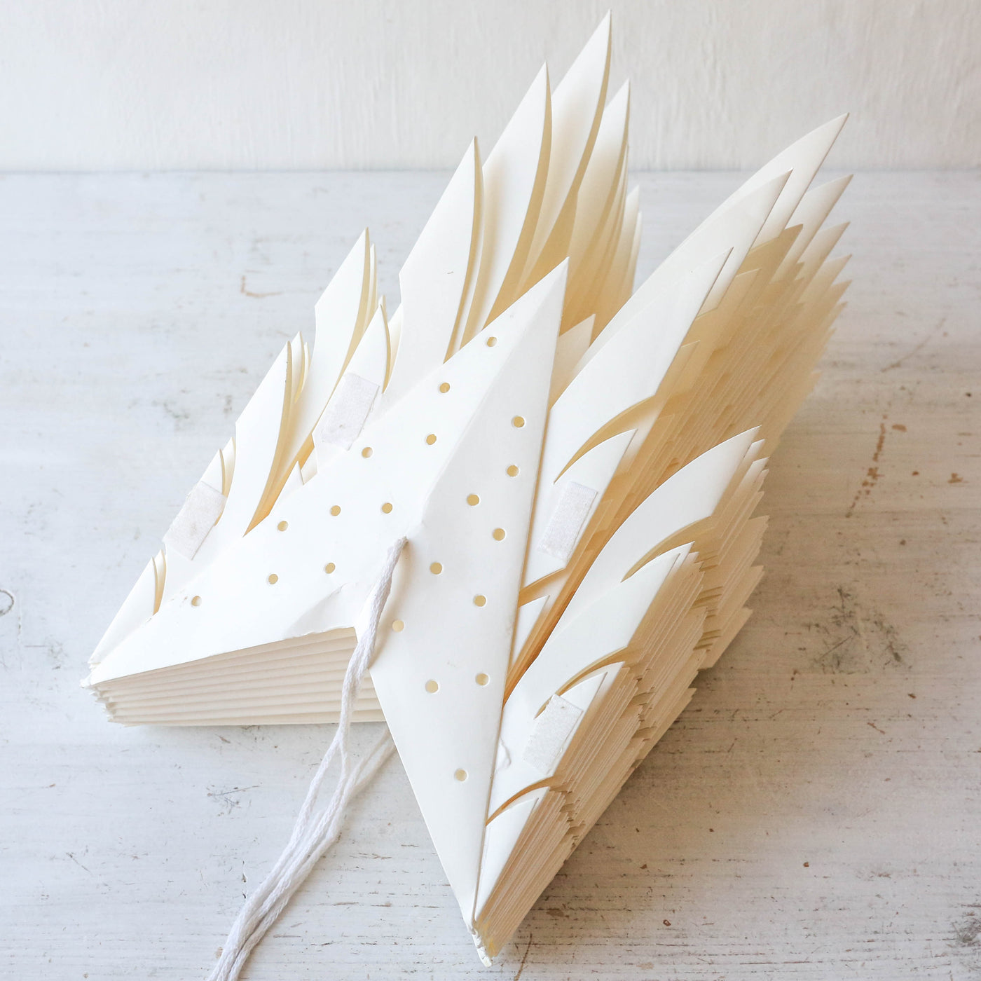 60cm Paper Star Decoration - Borage