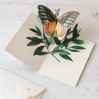 Butterfly Pop-Up Card