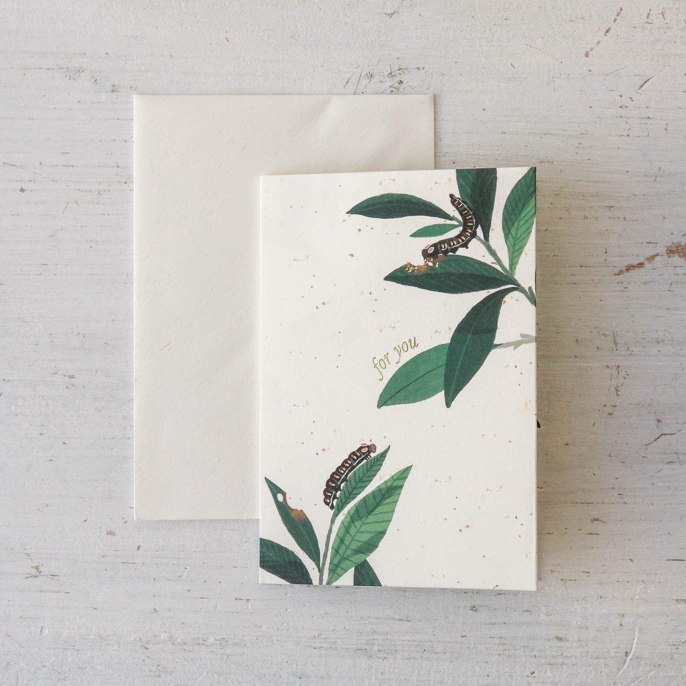 Butterfly Pop-Up Card