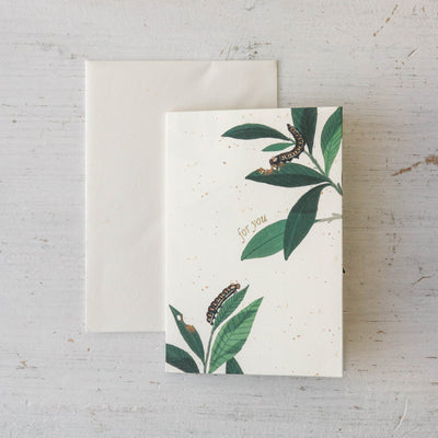 Butterfly Pop-Up Card