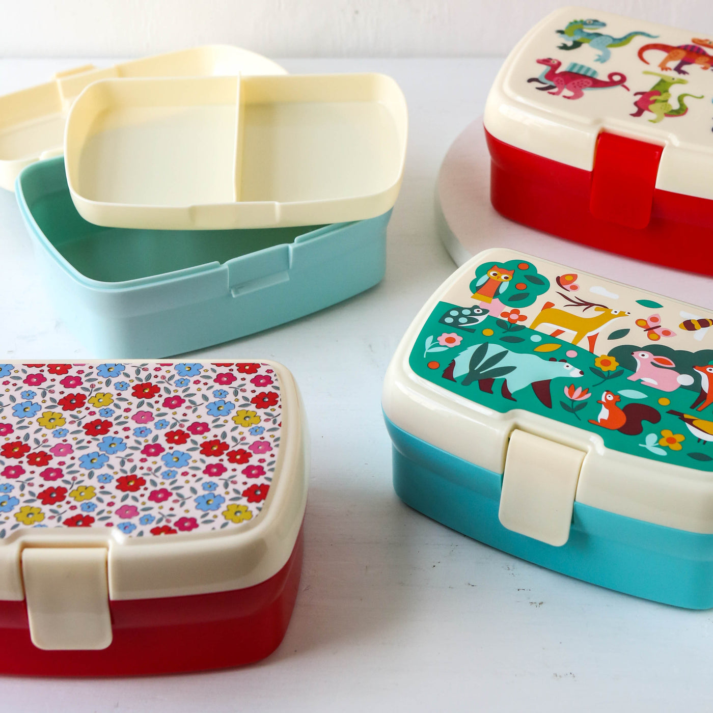 Sectioned Lunch Box