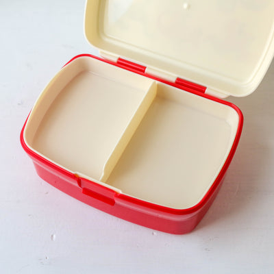 Sectioned Lunch Box
