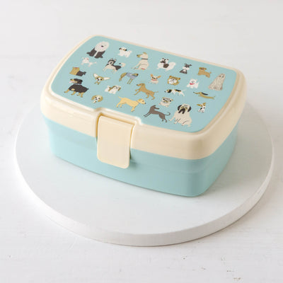 Sectioned Lunch Box