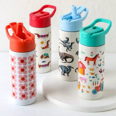 Kids Stainless Steel Water Bottle with Push Button Lid