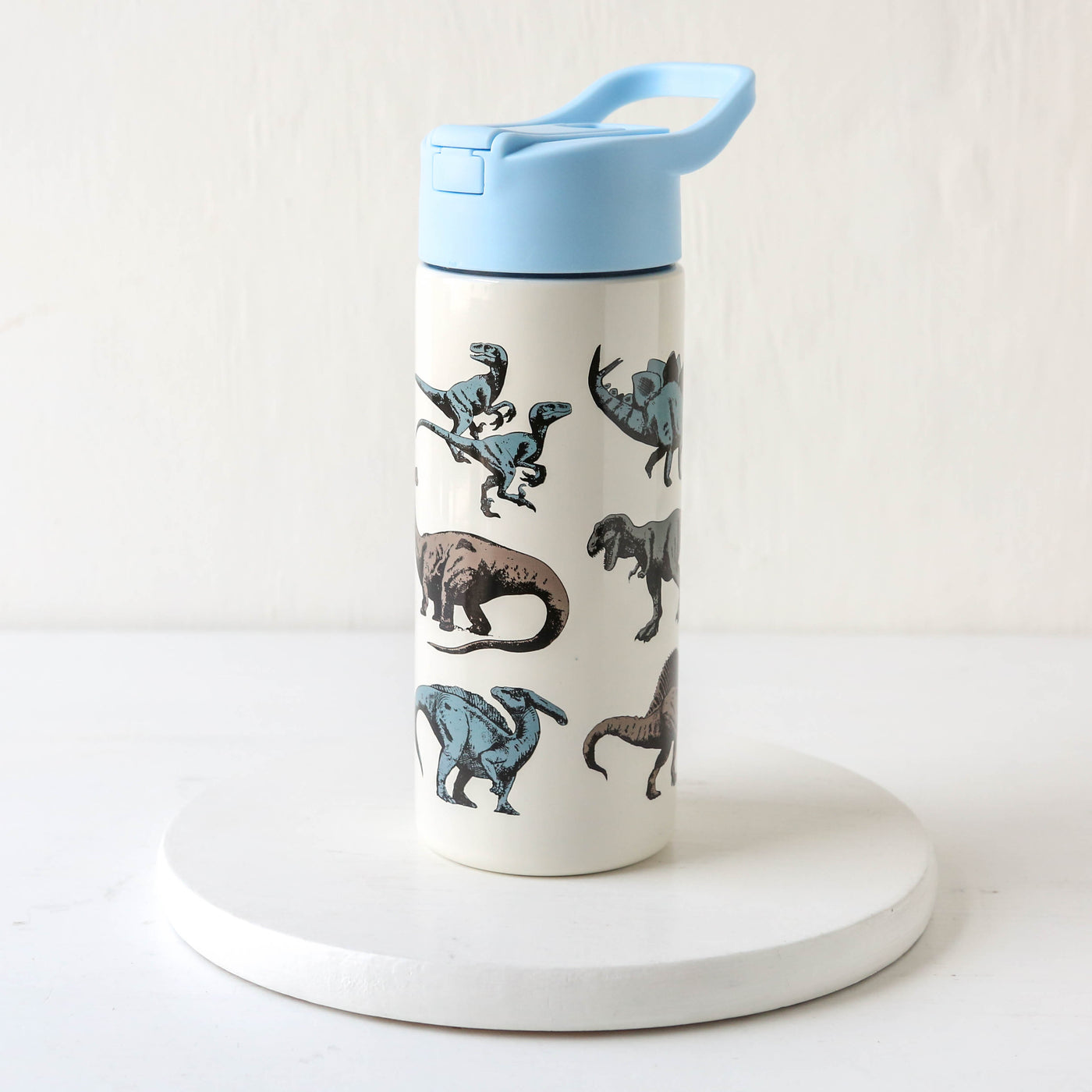 Kids Stainless Steel Water Bottle with Push Button Lid