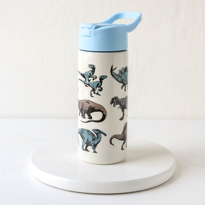 Kids Stainless Steel Water Bottle with Push Button Lid