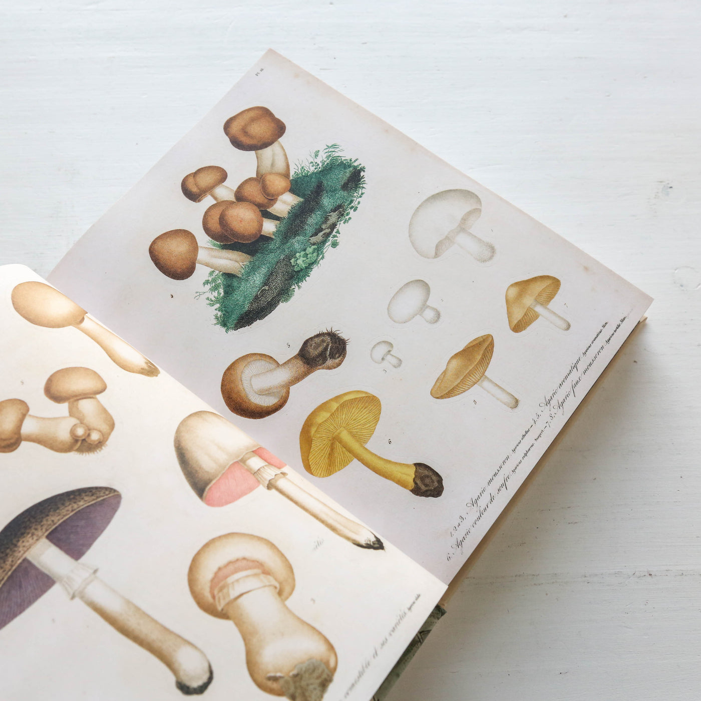 John Derian Sticker Book II