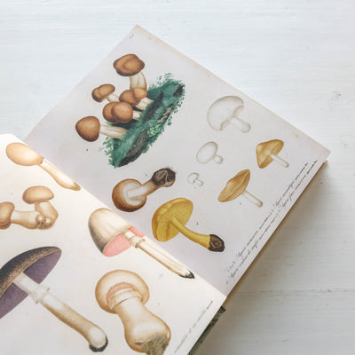 John Derian Sticker Book II