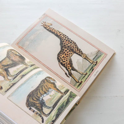 John Derian Sticker Book II