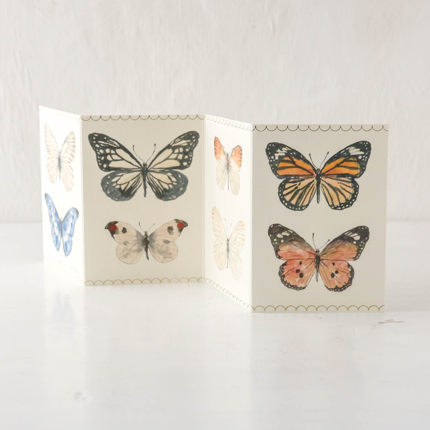 Mini Butterfly Concertina Card