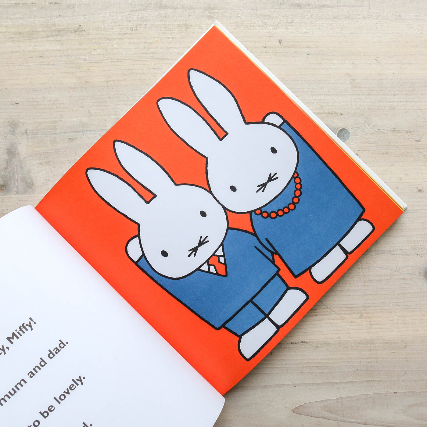 Miffy's Treasury