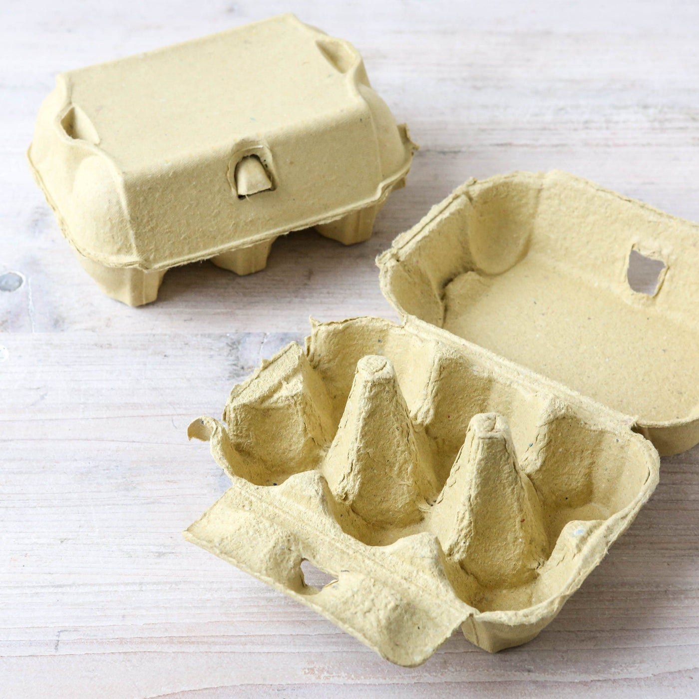 Coloured Egg Box for 6 Eggs