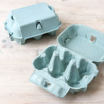 Coloured Egg Box for 6 Eggs