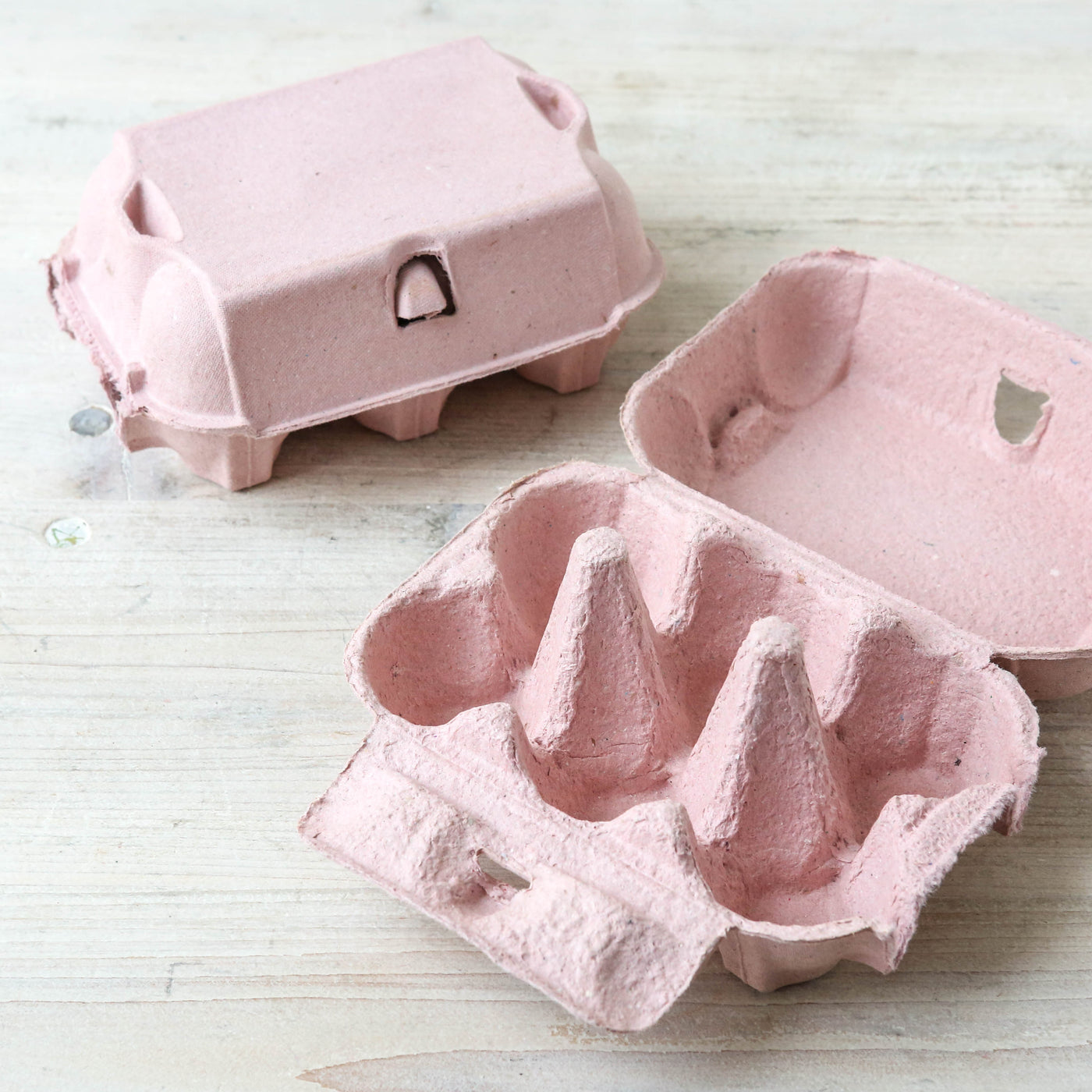 Coloured Egg Box for 6 Eggs