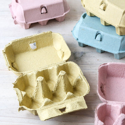 Coloured Egg Box for 6 Eggs
