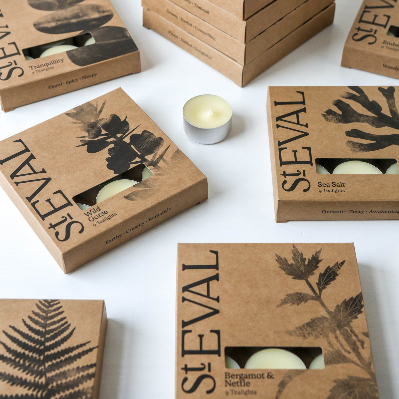 St. Eval Scented Tealights - Box of 9