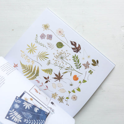 Cyanotype : Learn in a Weekend