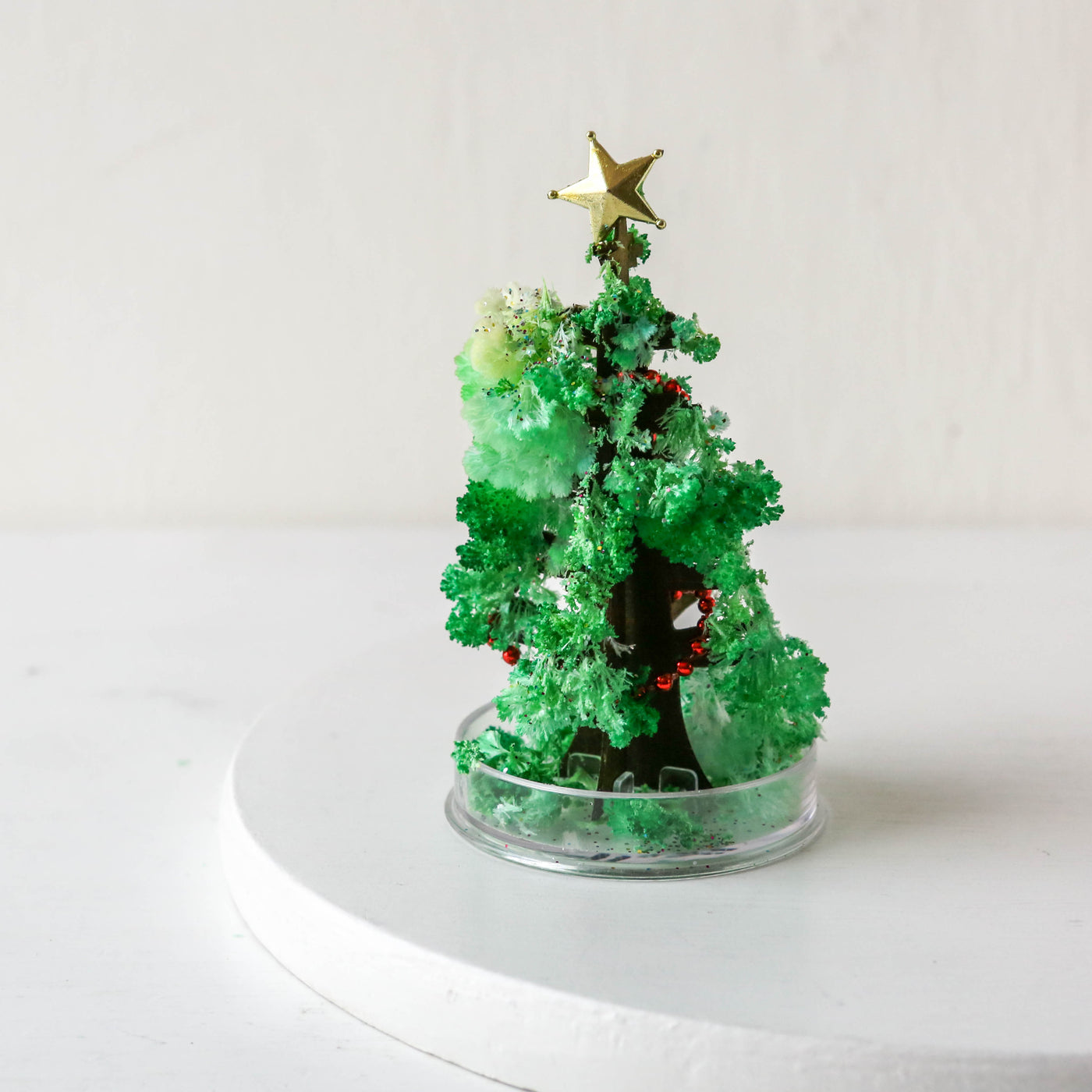 Magic Growing Christmas Tree