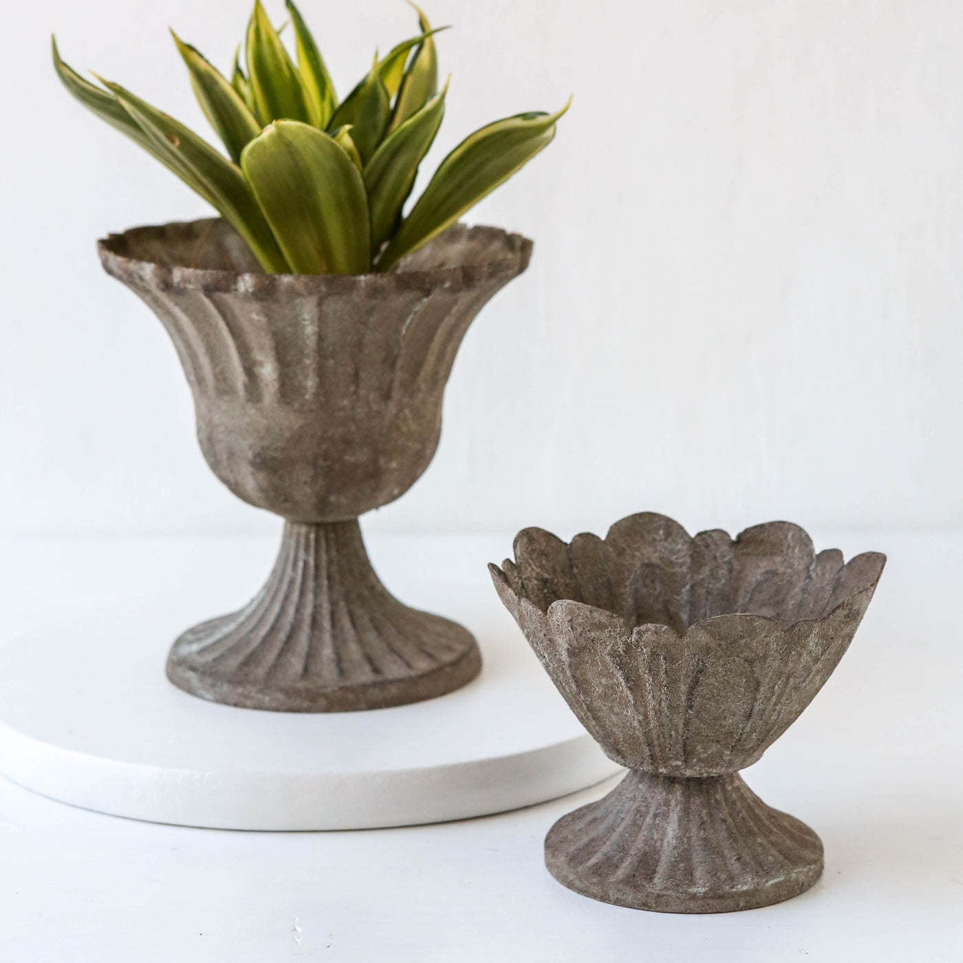 Mini Rustic Plant Urn