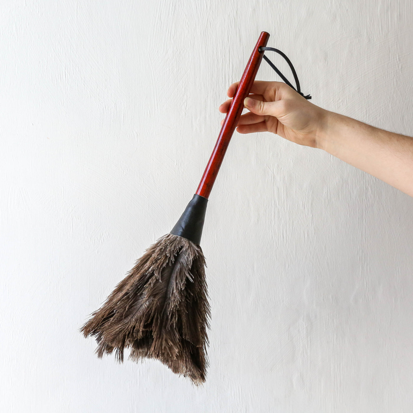 Ostrich Feather Duster