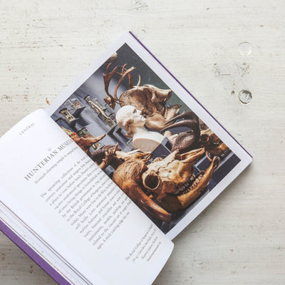An Opinionated Guide to Weird London